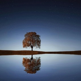 蓝色星空湖边树木倒影图片